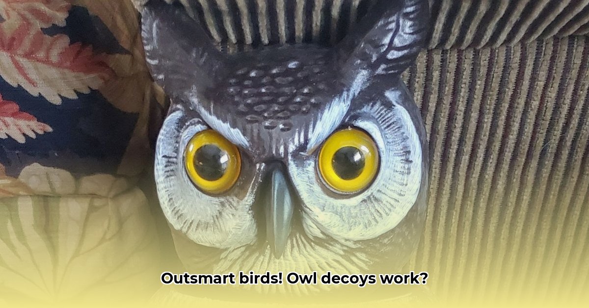 owl-decoy-tractor-supply